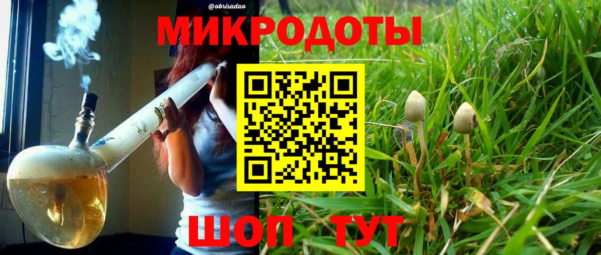 Губкин  Галлюциногенные грибы Psilocybine cubensis  Вход с VPN 